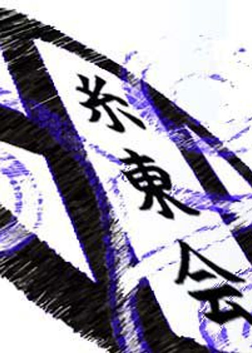 Karate Shito Ryu